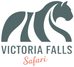 Victoria Falls Safari