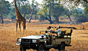 Victoria Falls Game Drive 3