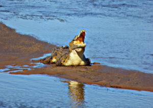 Victoria Falls Sunset Cruise 4