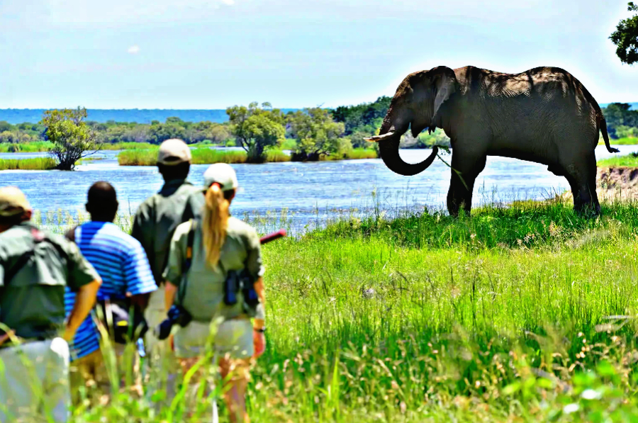 Victoria Falls Walking Safari 2