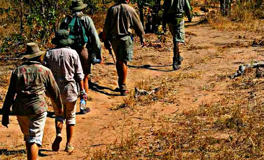 Victoria Falls Walking Safari 3