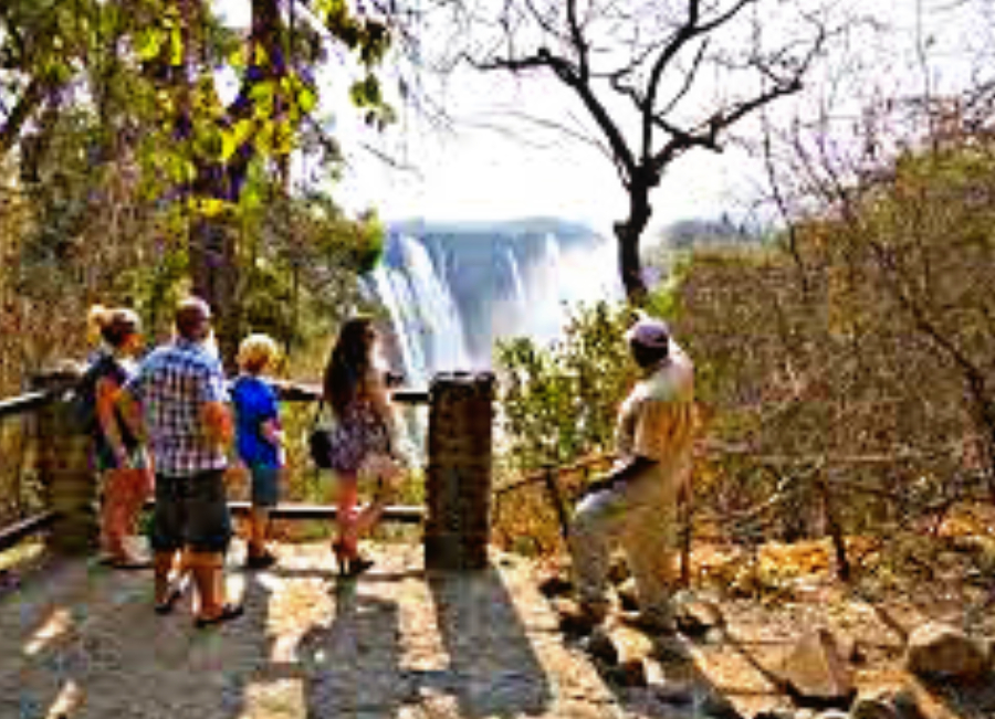 Victoria Falls Tour (3)